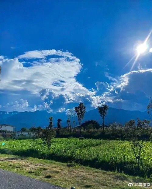 局部板块晴空万里～～～你的股票表现怎样？ ​​​