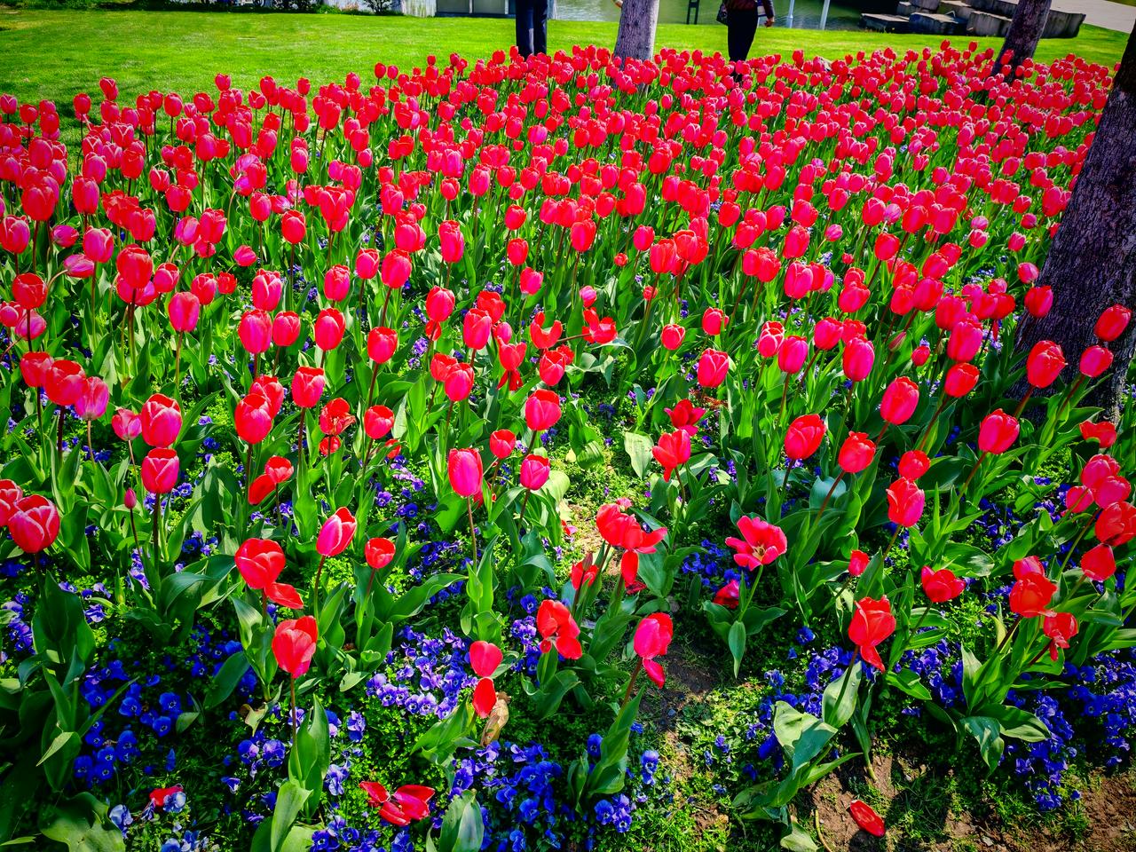 春日生活打卡季