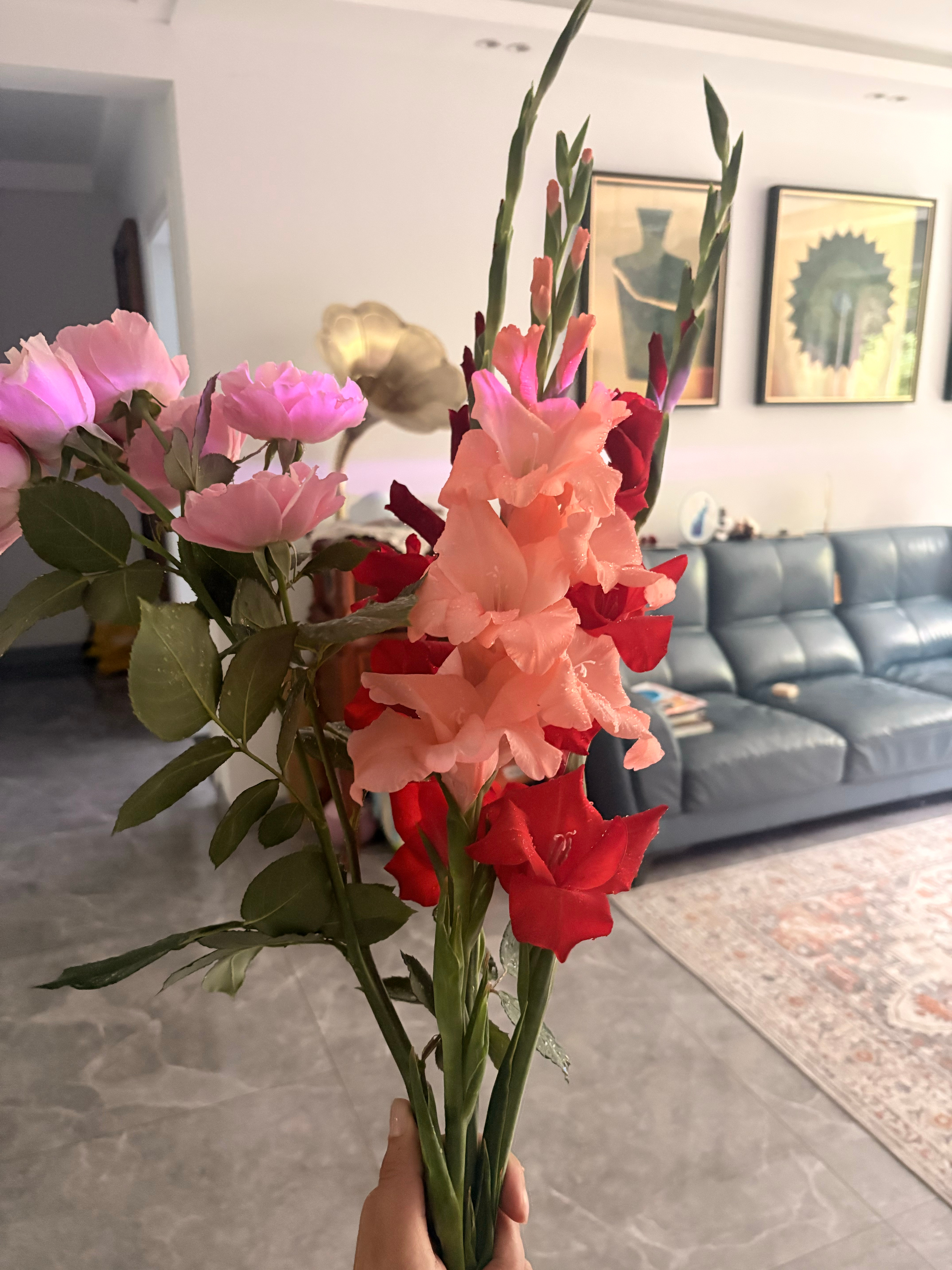 我自己养的花花，怎么样嘛？ 
