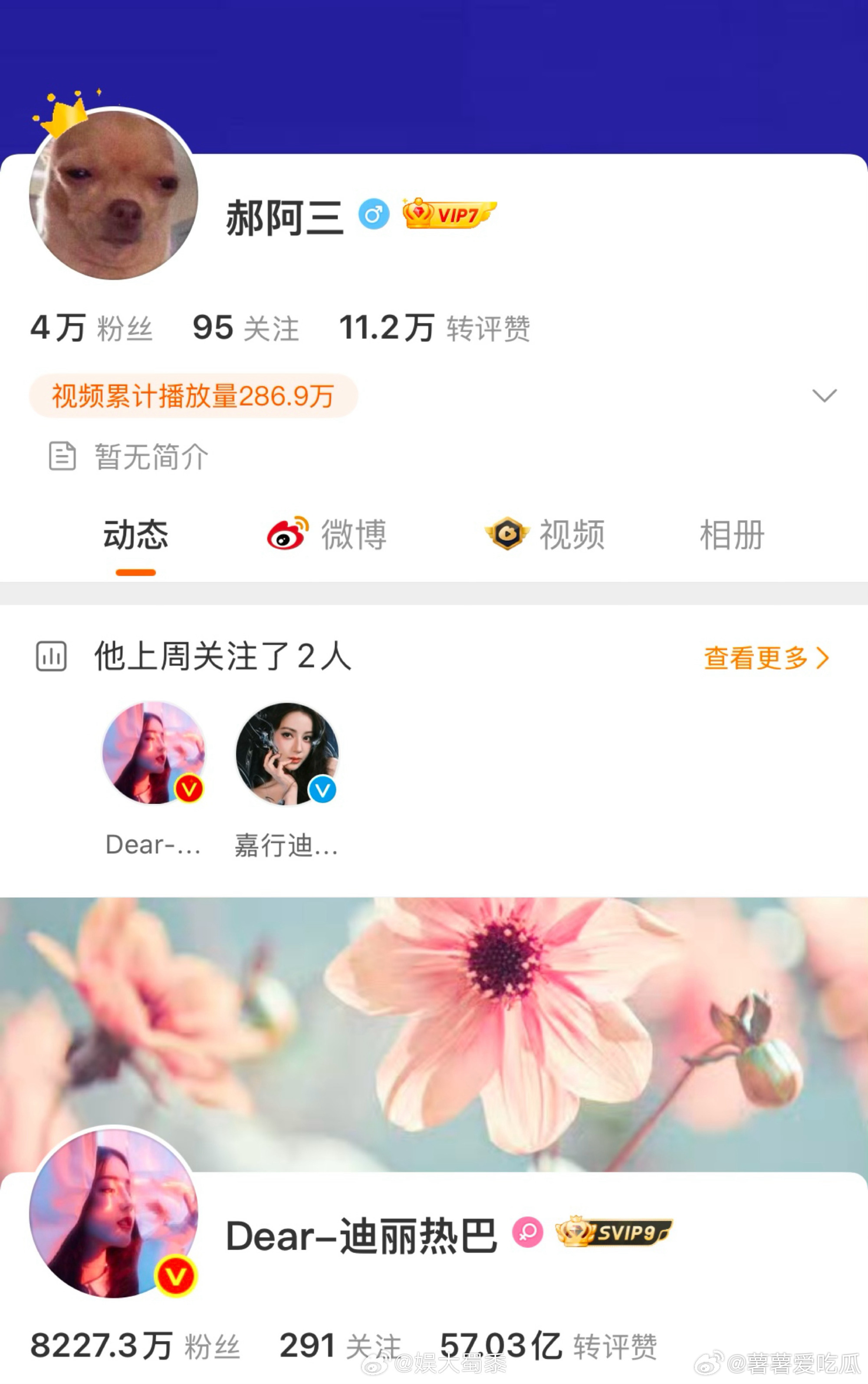 迪丽热巴 郝阿三应该是在重组团队吧，毕竟前段时间出了那么一档子事 