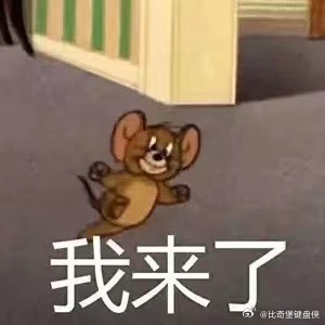 起猛了一不小心就成了团宠旅行真的总能带给人意外惊喜🌱放松心情治愈情绪，见识不一