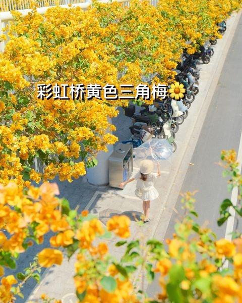 在彩虹桥站，我拍到了电影感的春天！🌼
📍广州 彩虹桥(地铁站)
沿着天桥走