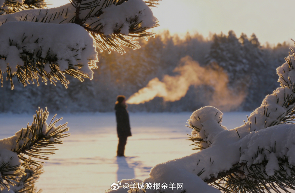 早安 晨曦给雪地撒了把碎钻，松枝托着蓬松的积雪，呼出的白气在冷空气中画弧线，新的