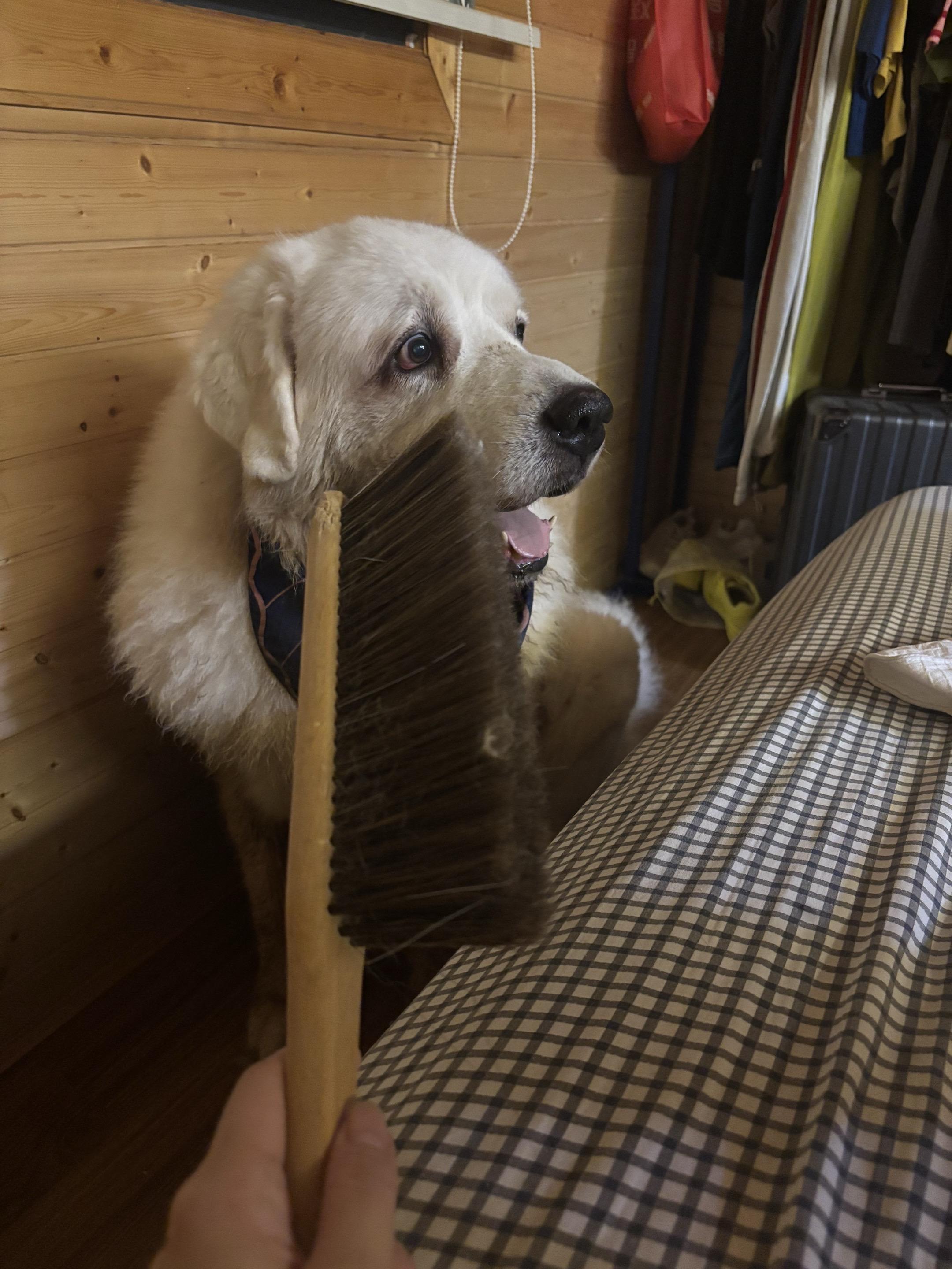 这是我俩现在的关系状态🙂