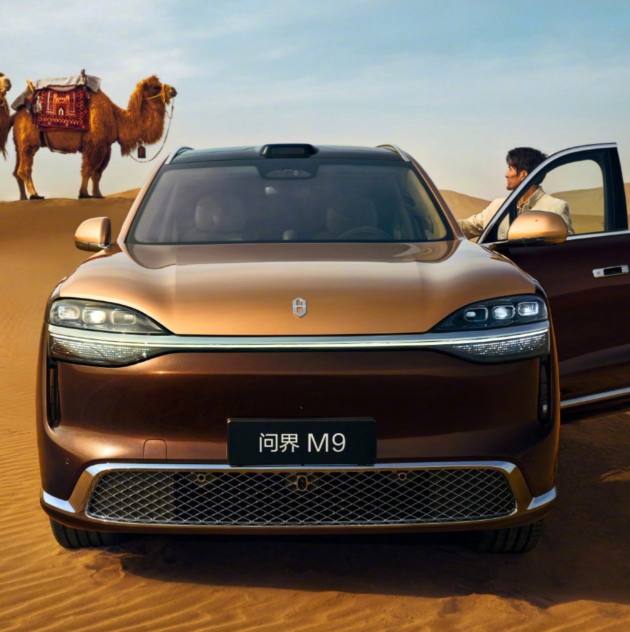 买车第一原则，不买丑车问界这个🐸前脸造型，实在是太丑了现在所有主流的我觉得都比