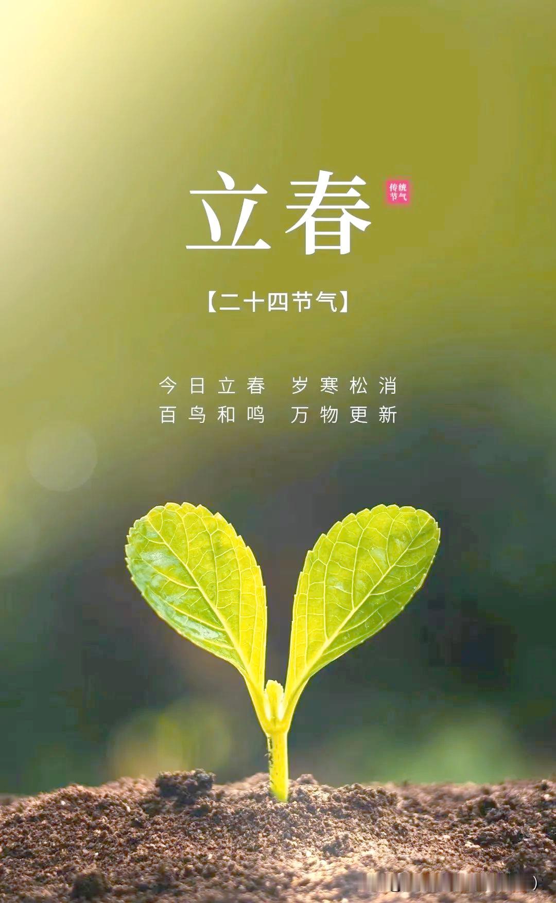春已归，万物生。愿所有美好，都在春天里慢慢发芽🌱
（图片来自网络）