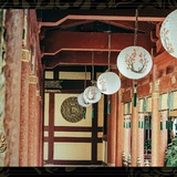 金山逛逛健康