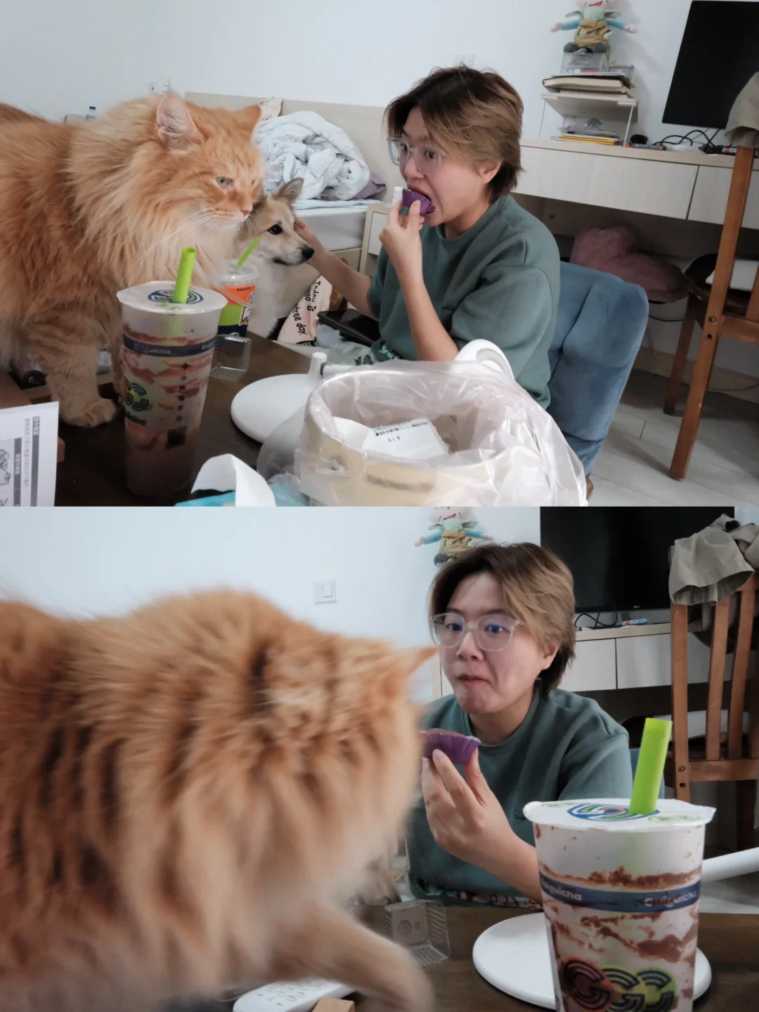 我们养宠人吃点东西的确就是那么热闹的