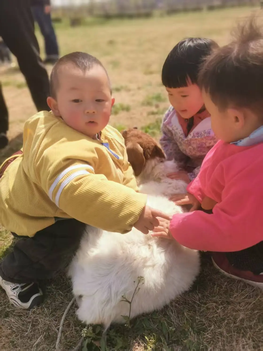 乡土气息 孩子的乐趣