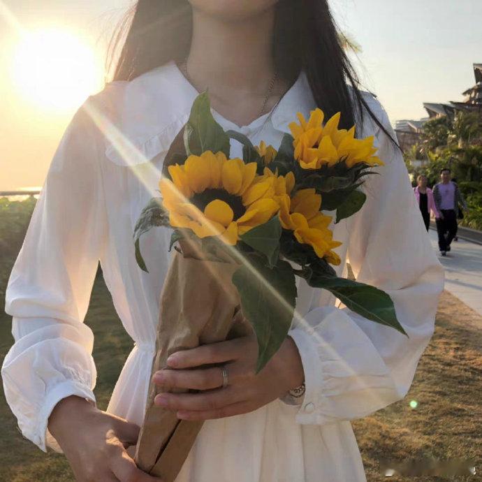 早ﾉ☀“不要提前焦虑，也不要预知烦恼，生活就是见招拆招，日落归山海，山海藏深意。