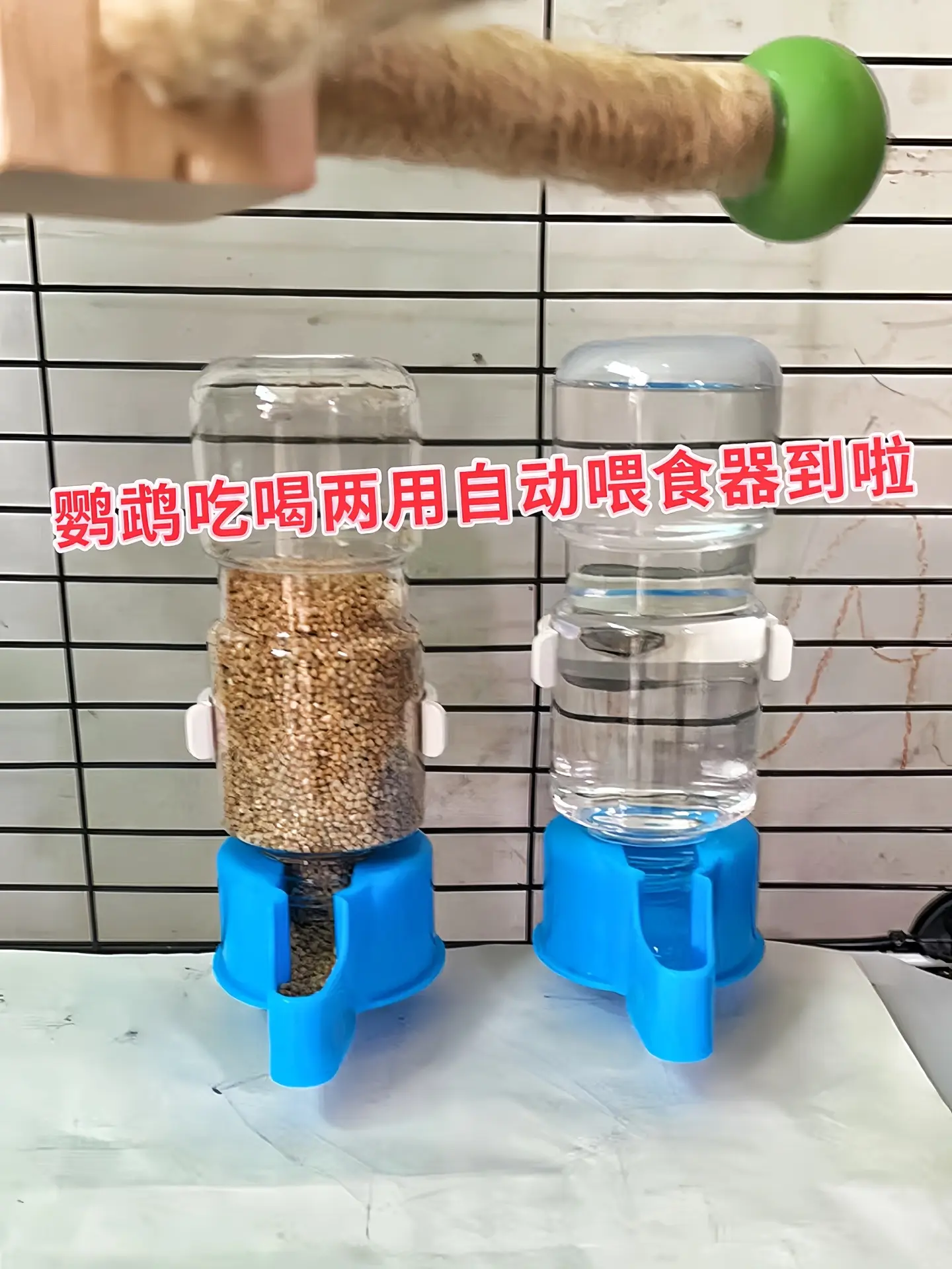 这种喂食器方便实用。它节省了主人频繁添加食物和水的时间，尤其是在忙碌的...