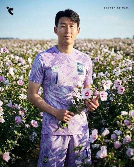 世界杯 今天看韩国这个藕荷色或者说淡紫色球衣我还挺奇怪，查了一下才发现，这是韩国