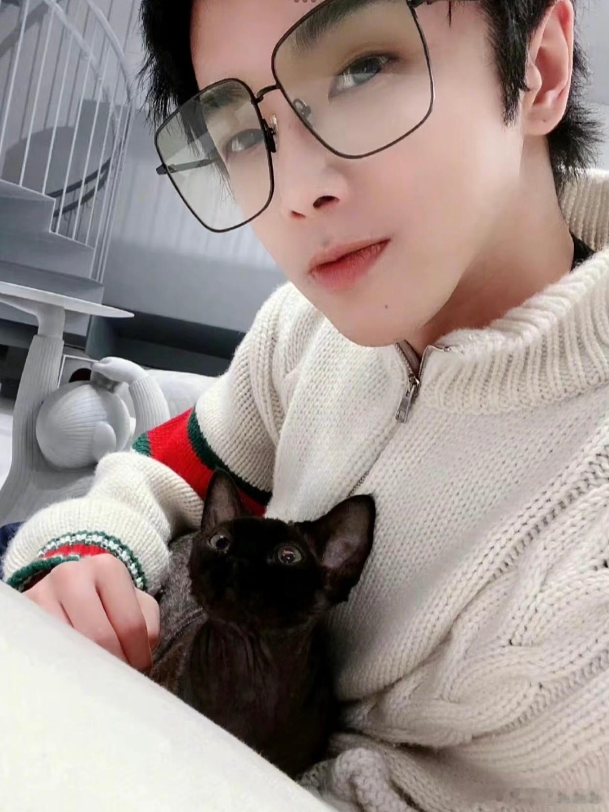 我只知道狗不能吃巧克力，没想到猫也不能吃。。。他肯定不是故意的啊。。。谁能脑壳打