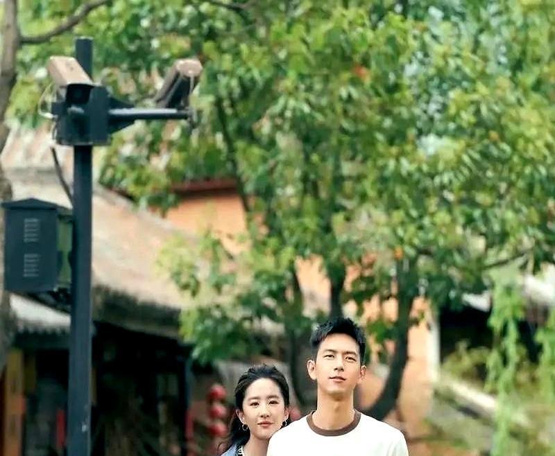 神仙姐姐刘亦菲，手握《玫瑰的故事》杀青余温，却在“去有风的地方”续集上，遭遇了无