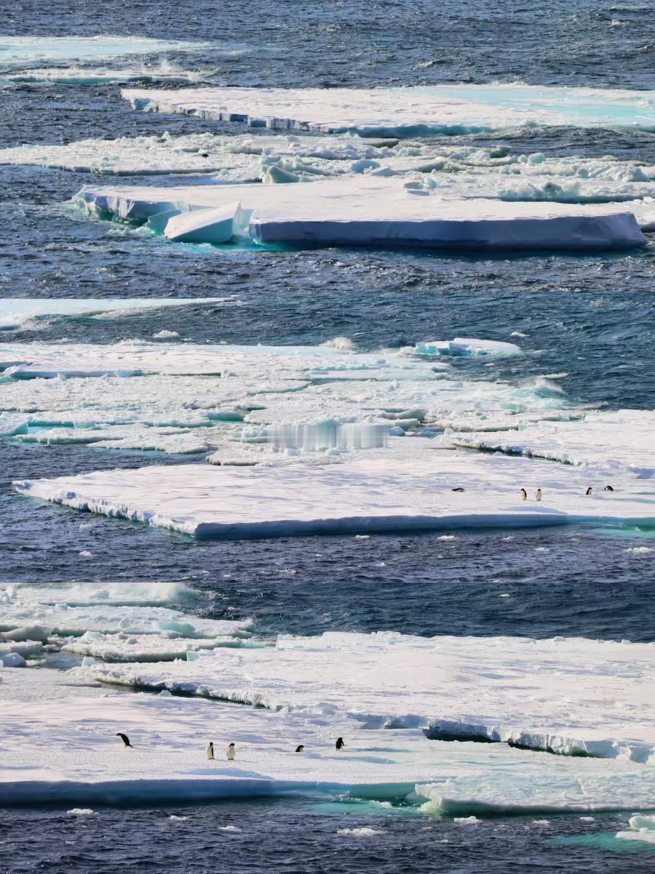 我在南极开挖掘机国产挖掘机成南极科考得力干将 在这片冰雪覆盖的土地上，国产挖掘机