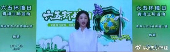 六五环境日 期待青海生态文化传播大使杨紫与青海的第二次相遇