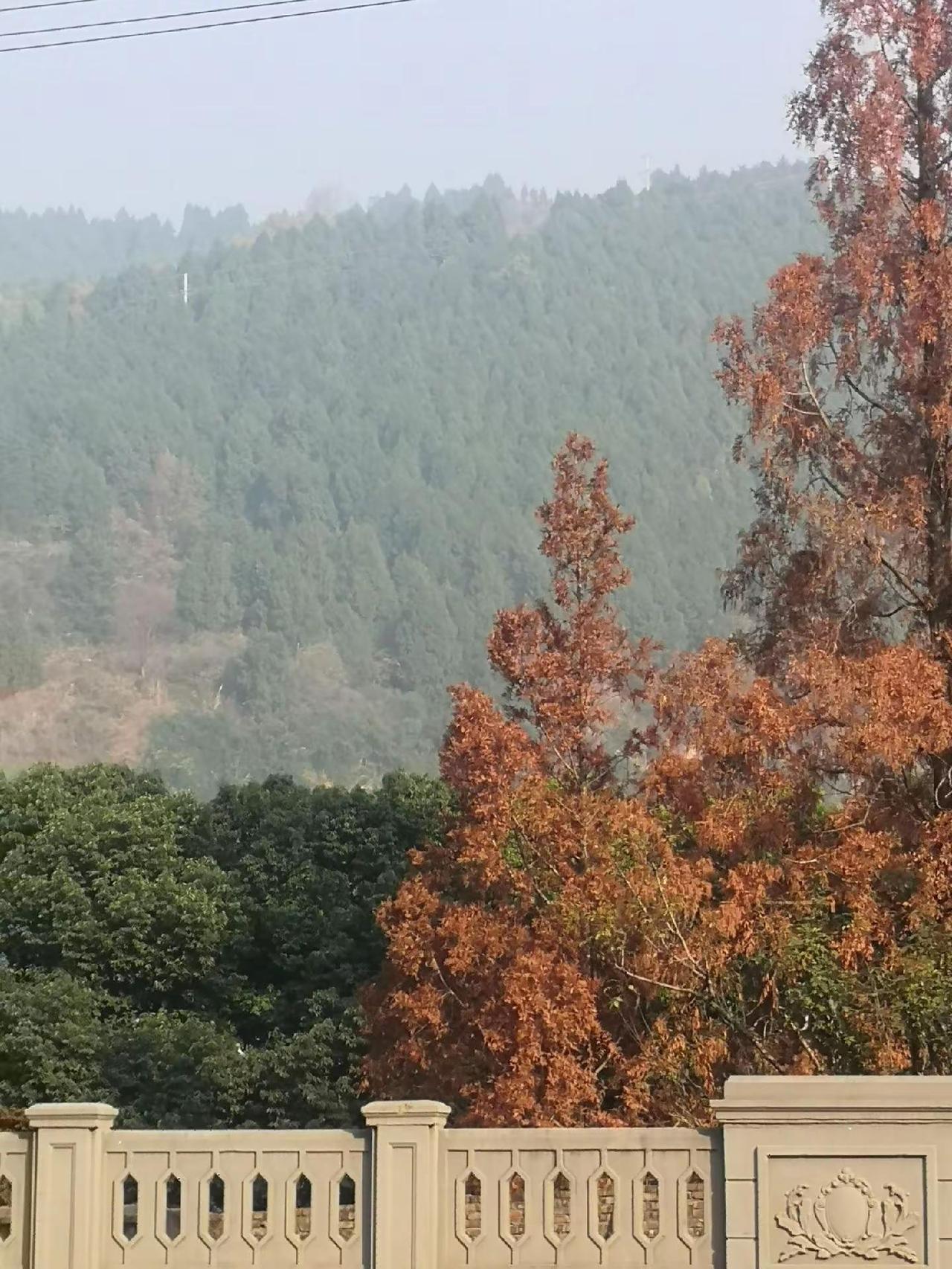 路过的风景随手一拍 城市风光摄影 日常生活 自然风景区 随走随拍记录生活