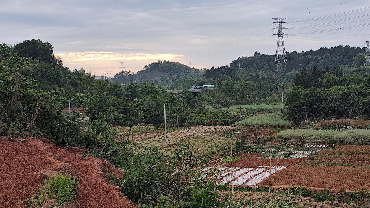 每日一图随手拍野外的风景欣赏分享一张自然风景的照片，