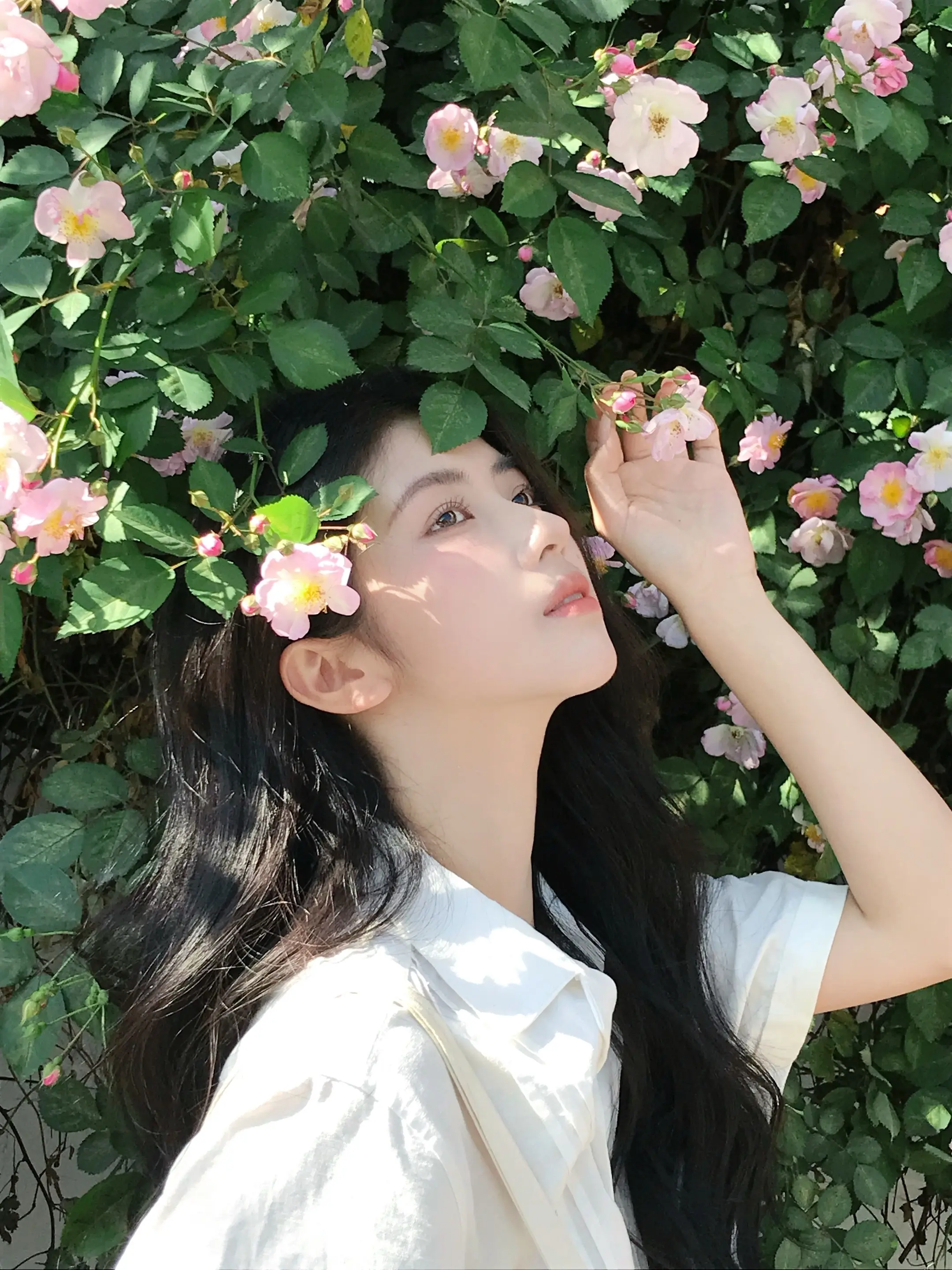 永远为春天心动