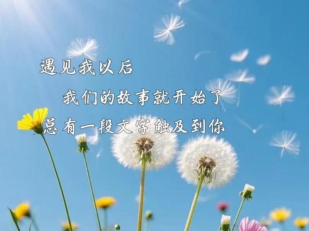 快来看看我新换的主页背景吧