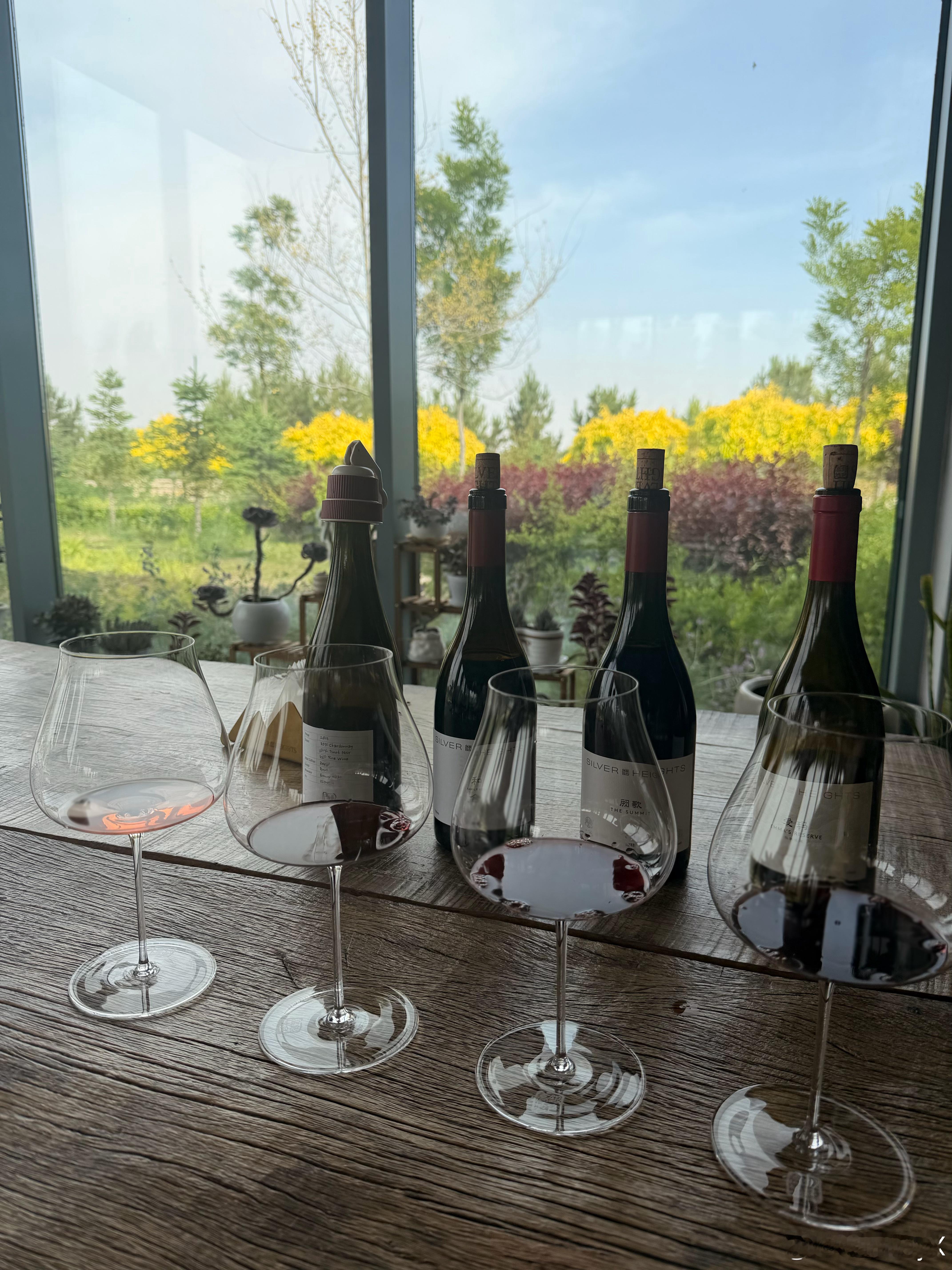 参观一下宁夏的葡萄酒庄 喝开心了🍷 银川·银色高地酒庄