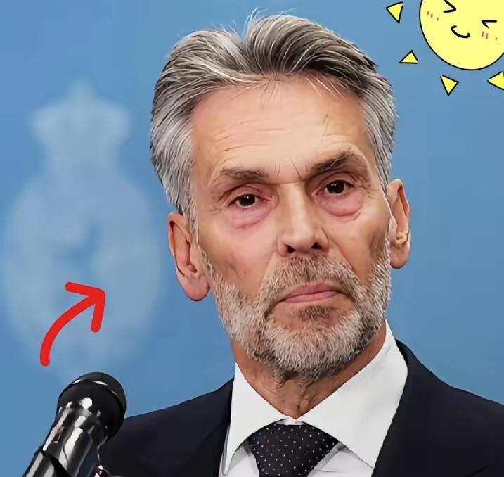 荷兰政府11月7日突然对安世半导体按下暂停键，提出用恢复关键芯片出口和理顺财务问