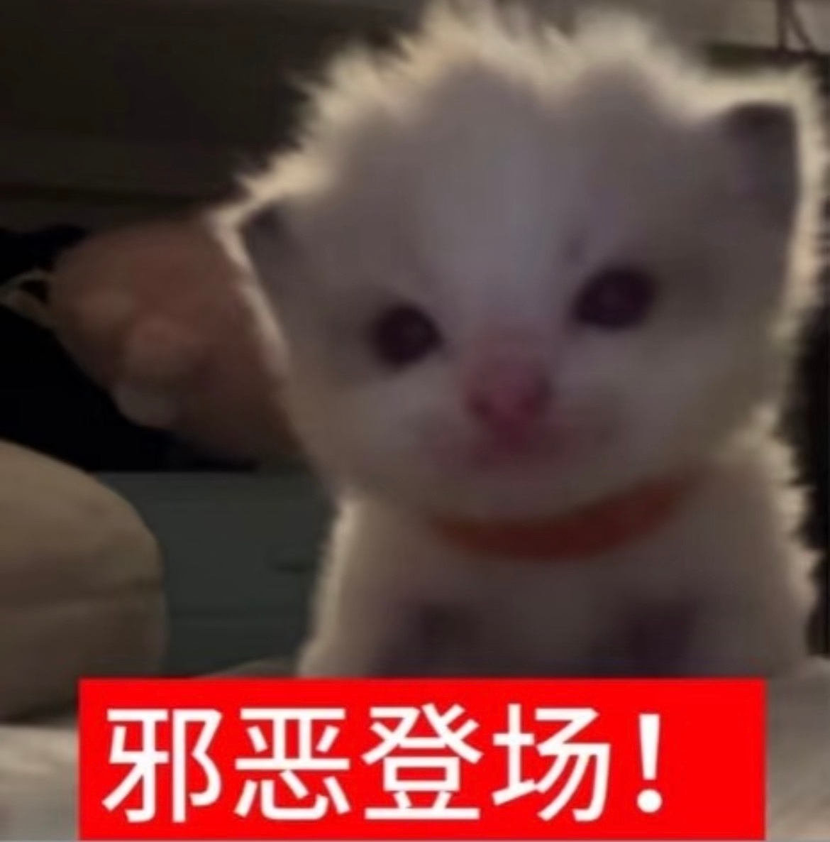 刘铮发尾剪了，脸颊肉回来了，眼睛亮亮的，又萌又甜一脸天真的造型结果在那里asmr