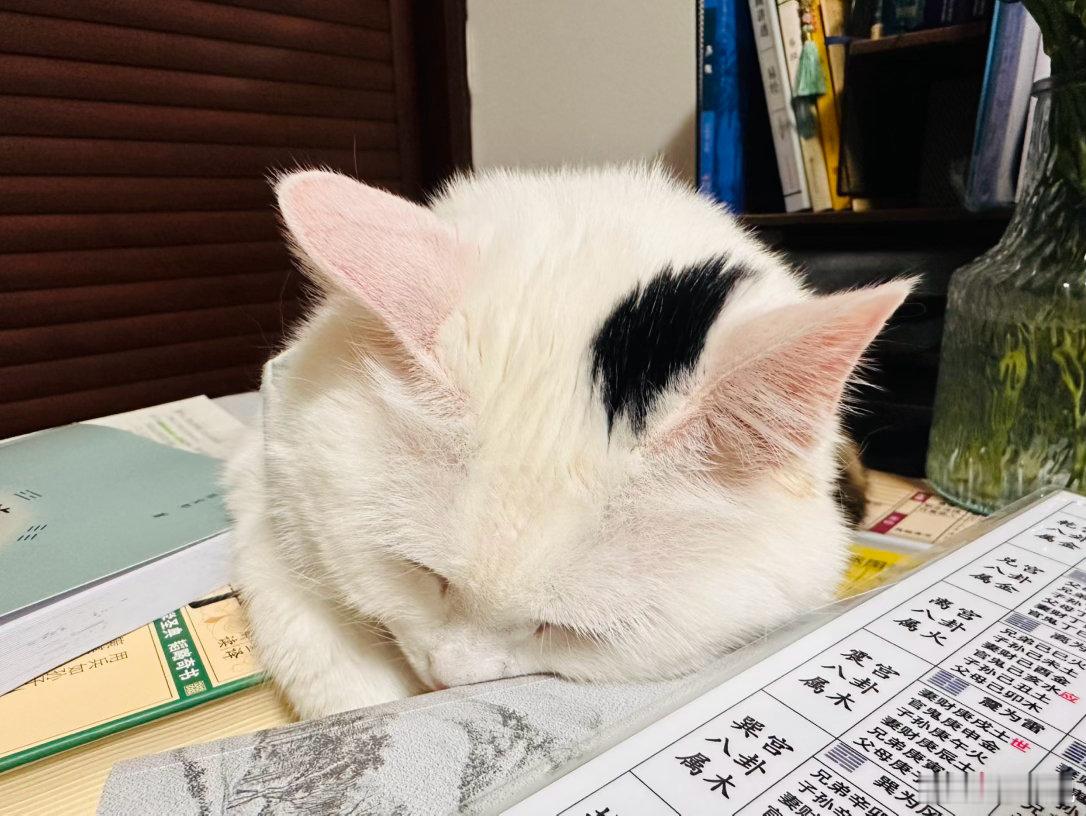 不是没有好书和好老师，可能，是我们没有分辨能力。 