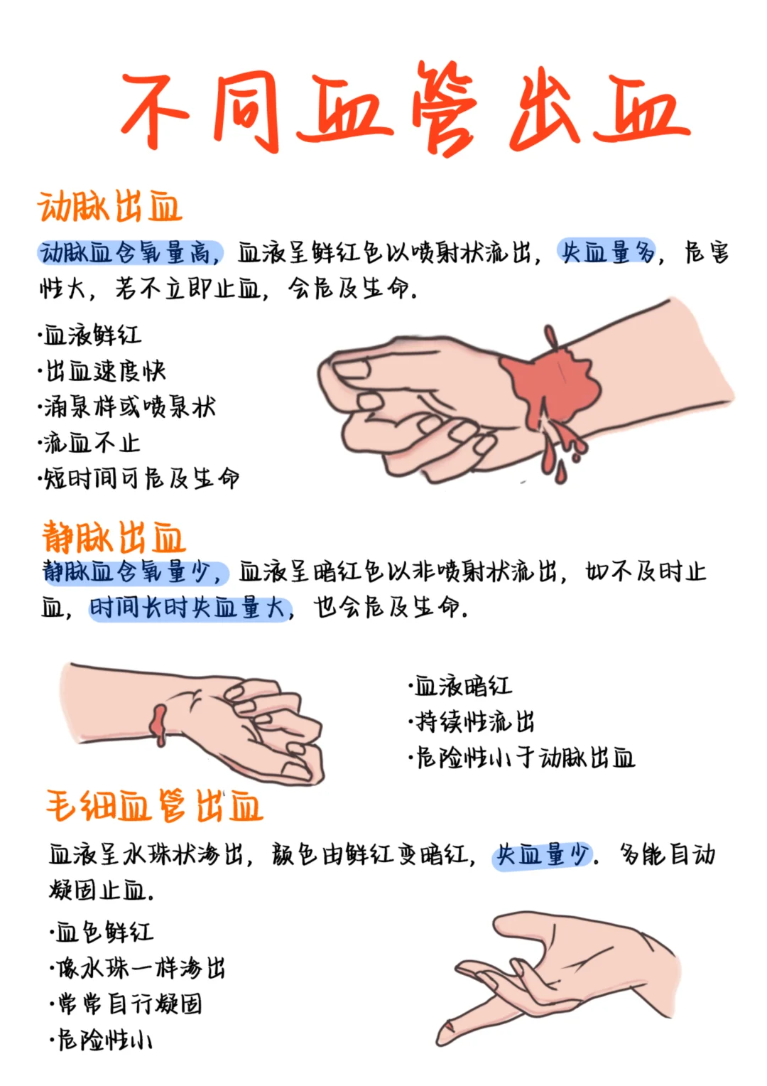 医学生笔记——不同血管出血
