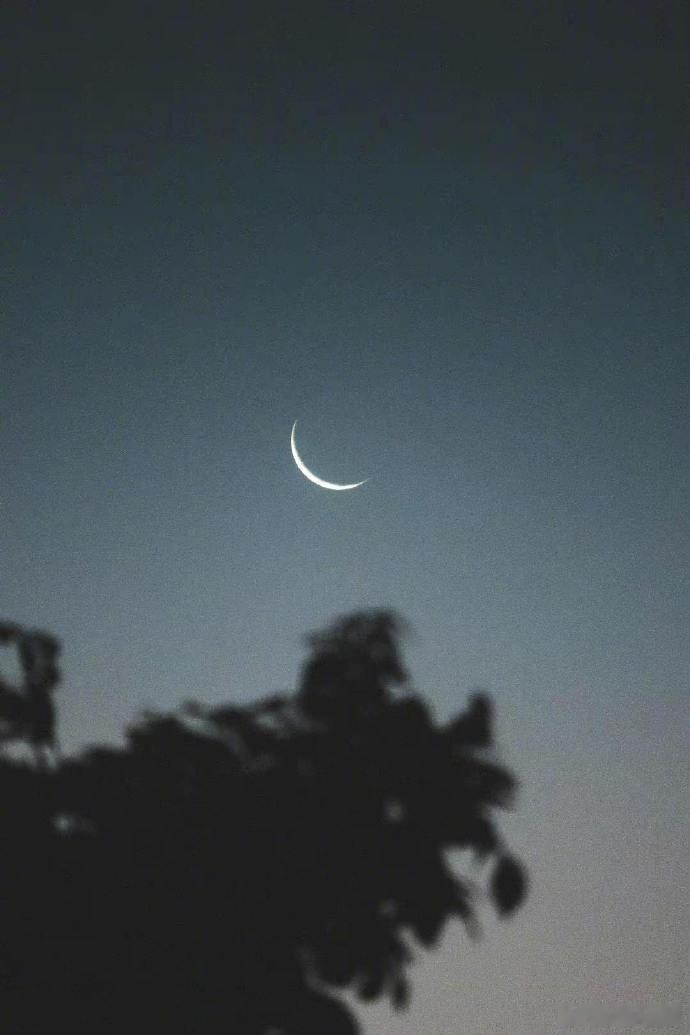 有些人熬夜是为了享受夜晚，而有些人只是想躲避下一个白天。生活手记