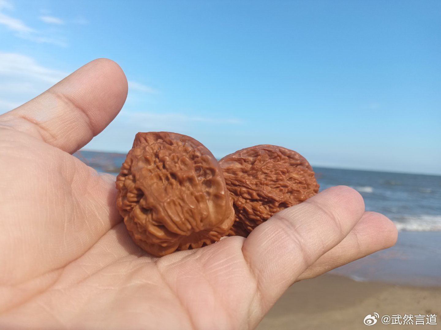 歇会儿。武老海边慢生活