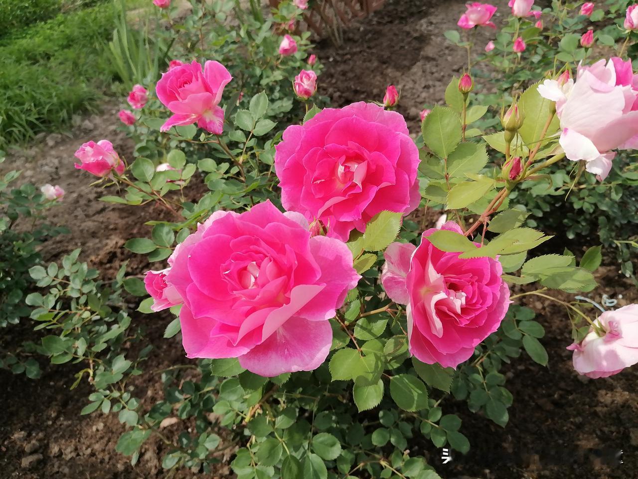 专注聚焦，方得真知。

注意力经济源于注意力的稀缺性。在信息过载的时代，我们必须