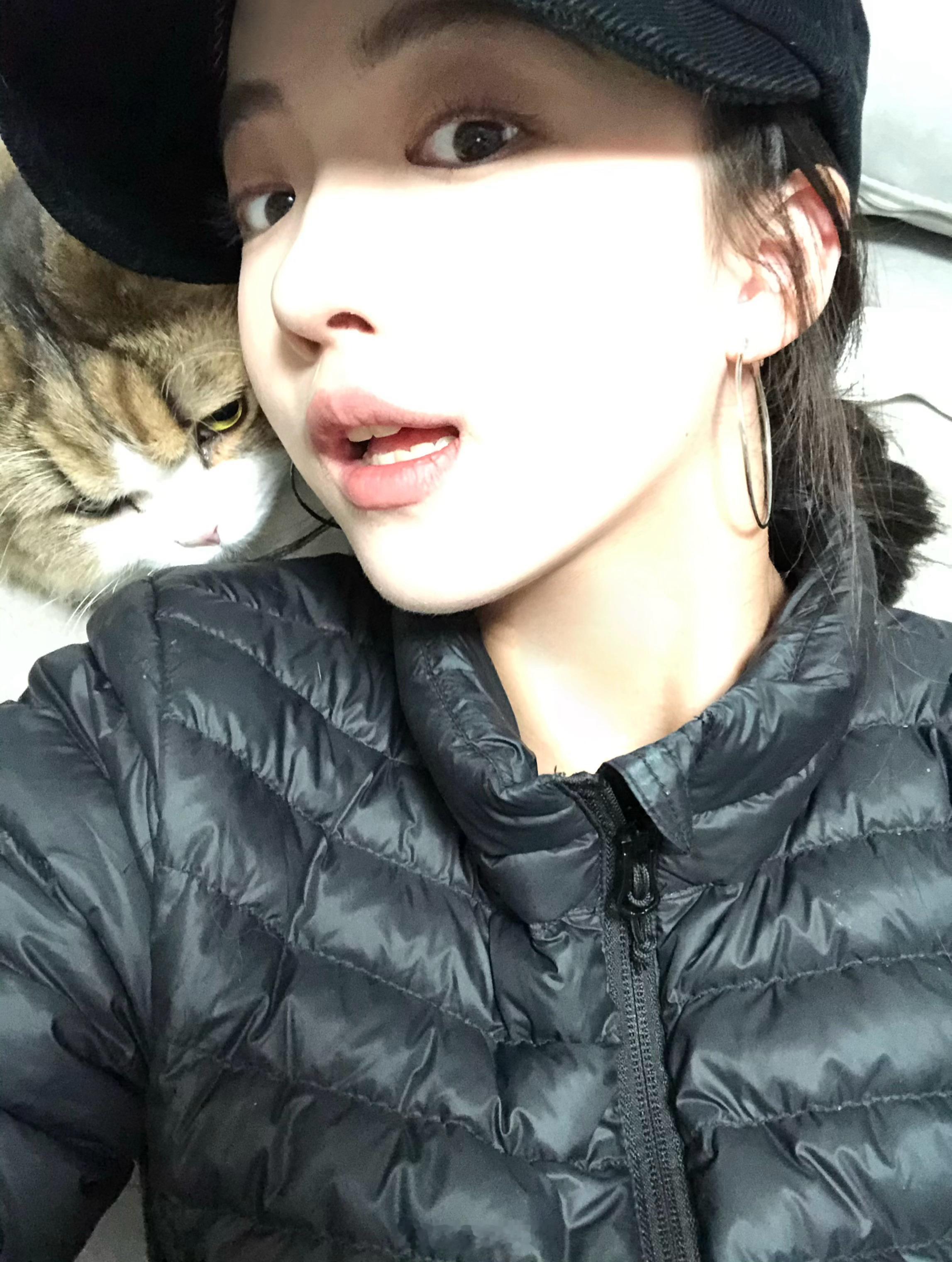 超不情愿的小小猫一枚 
