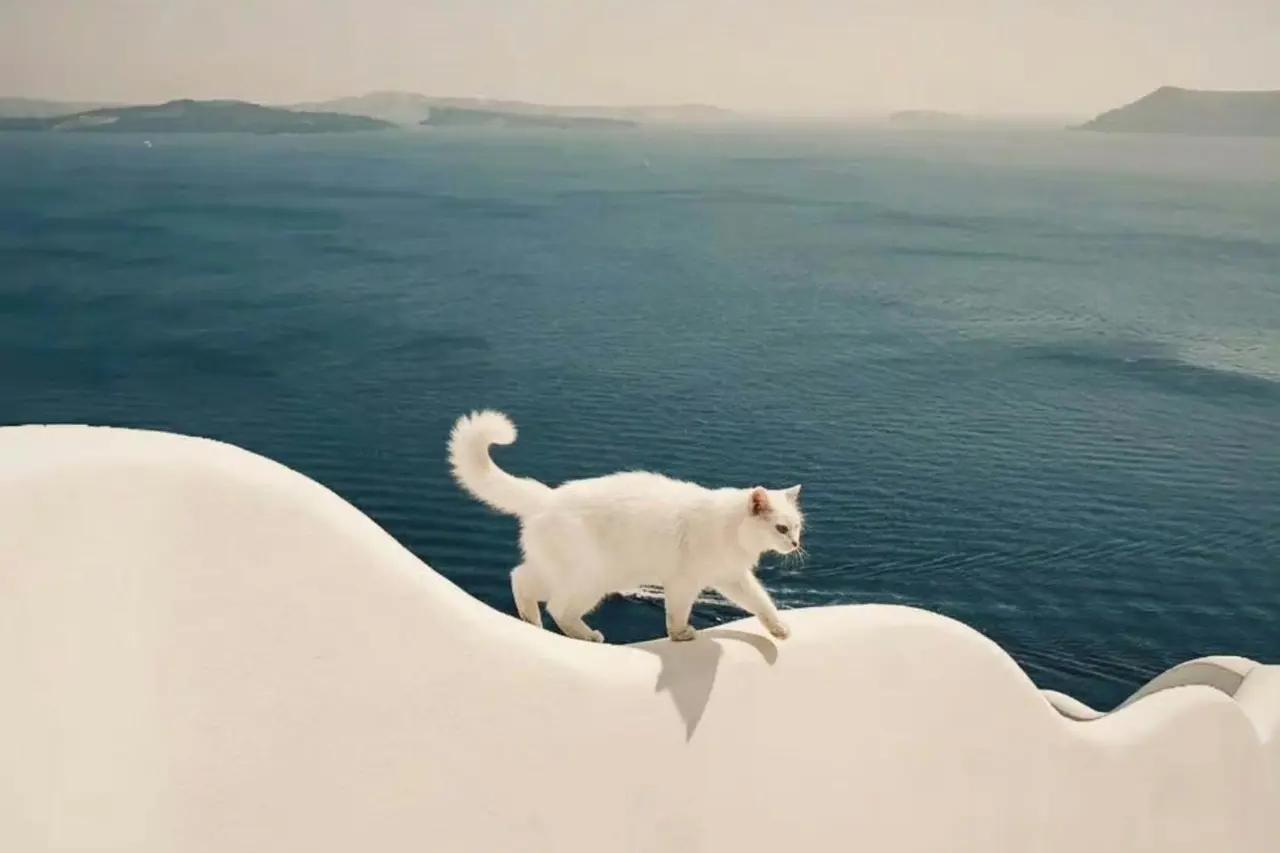 ✨教育部不准挤占学生的课余时间✨

🐼 现在的学生比我上学的时候幸福多了。现在