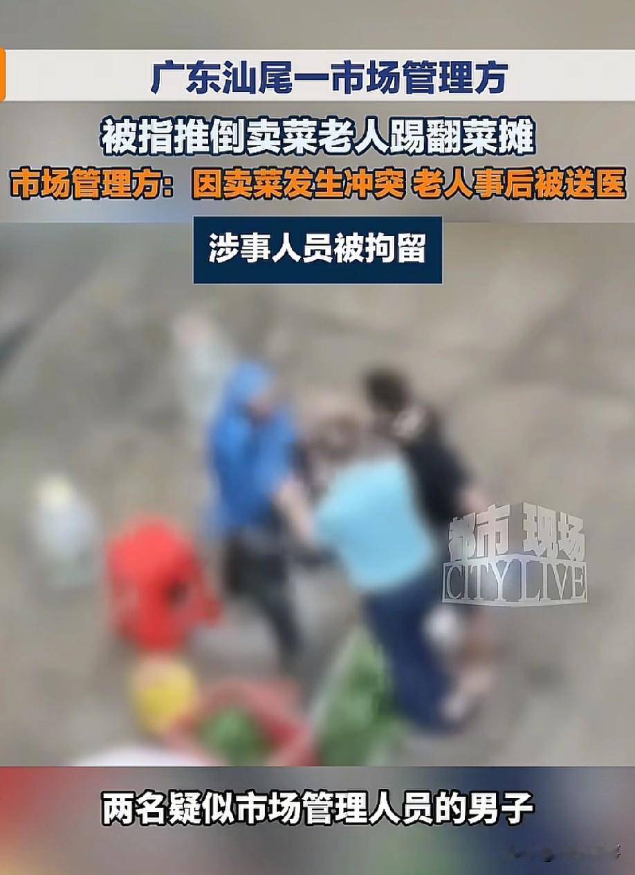 看得人心里难受！5月27日，据南国早报报道，广东汕尾海丰县一位年过七旬的卖菜老人
