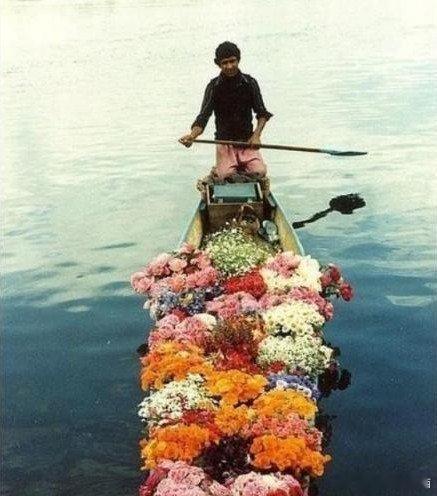 【克什米尔——达尔湖】喜马拉雅山雪水融化形成的达尔湖湖水淼淼，清澈无比。达尔湖(