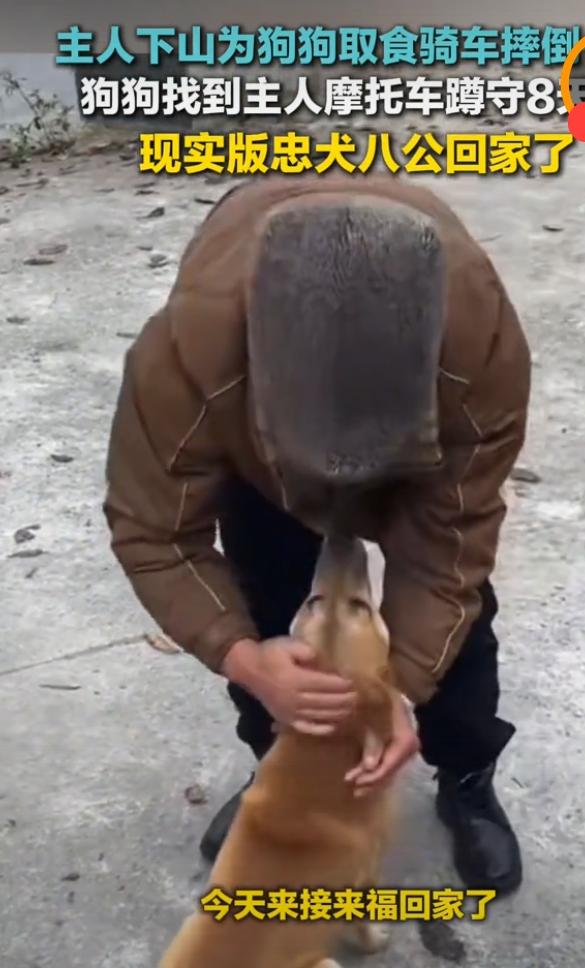 主人住院 狗狗摩托车旁蹲守8天

 
“它每天就守在这儿，一动不动，谁叫都不走。