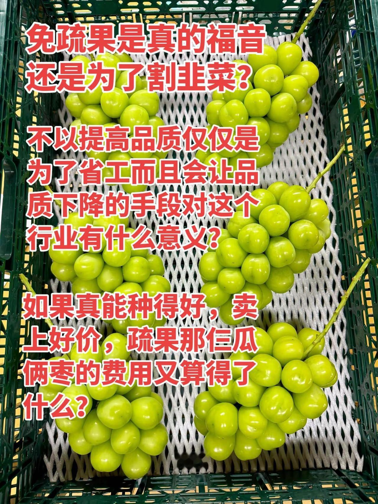 阳光玫瑰品质往上走才有出路，一切使阳光玫瑰品质往下走的手段，都会让阳光玫瑰死得更