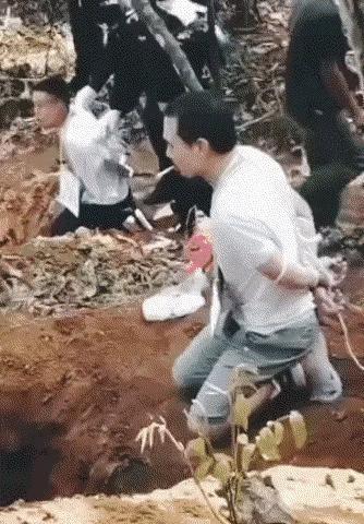 这场面在现实生活当中一次都没有看过，虽然没有看过，但是画面所呈现出来的内容，不像