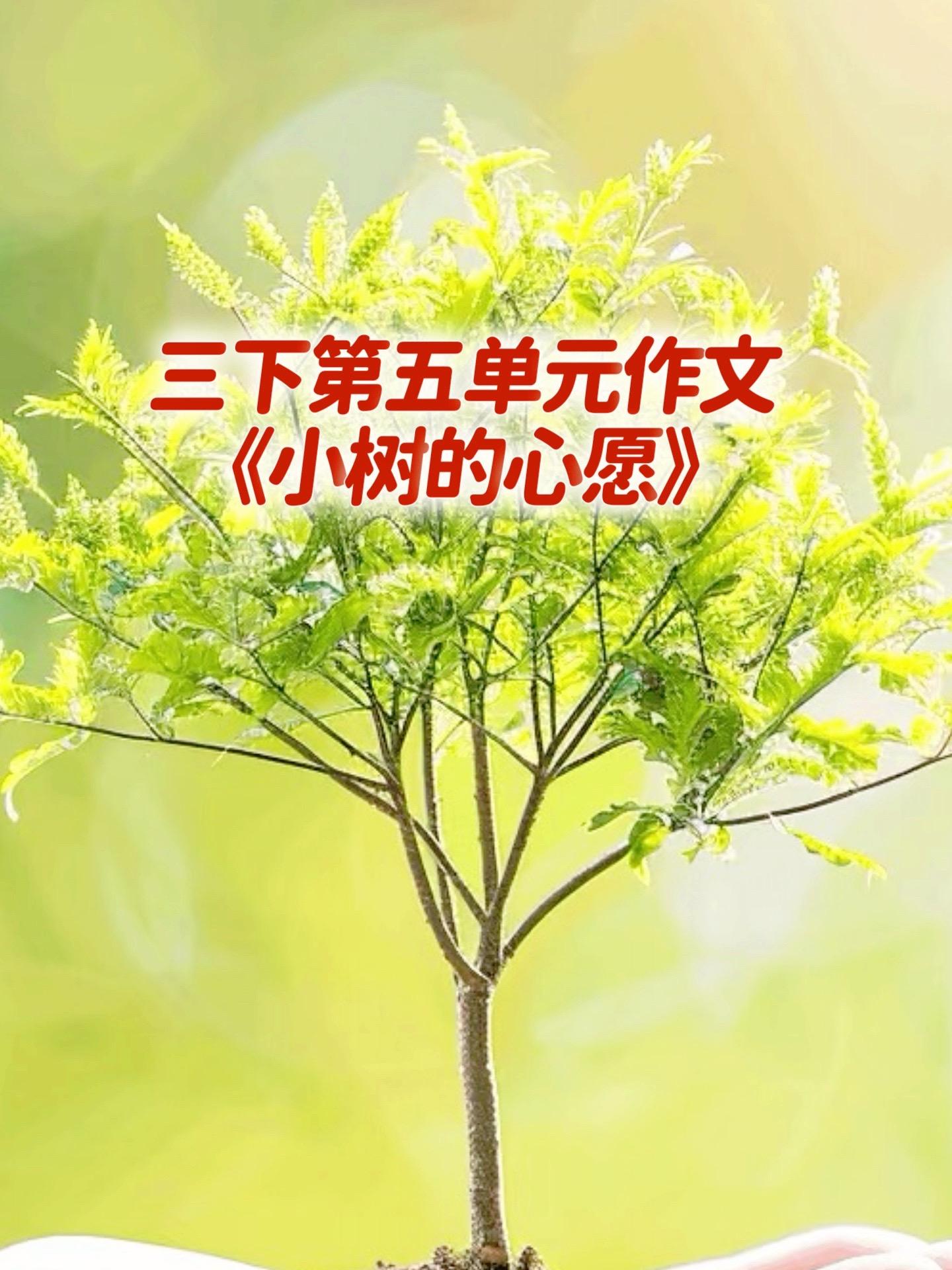 《小树的心思》 同步优秀范文。家长必读，小学三年级下册第五单元习作《奇...