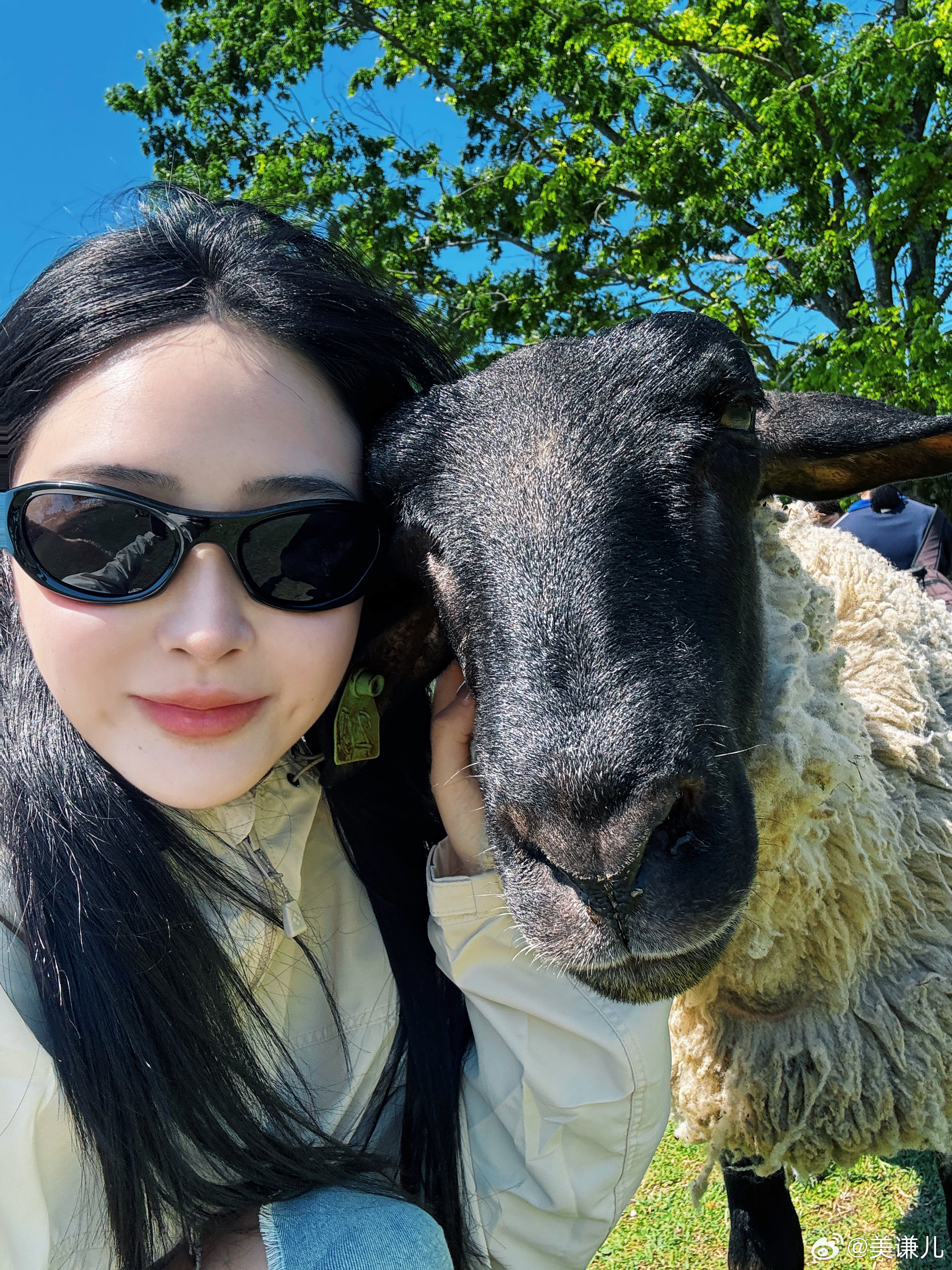 咩咩🐑  ​​​