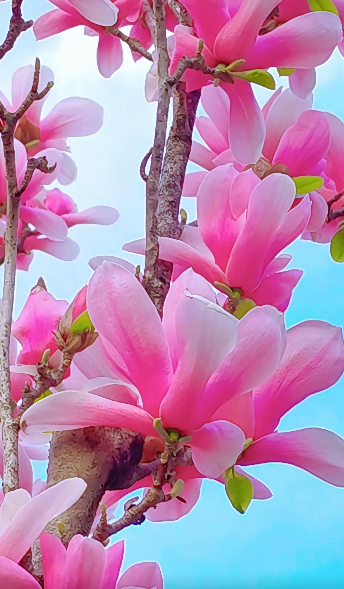 与老人相处不厌，靠的不是孝顺，是智慧
 
1. 多听少辩，不较真
他们唠叨，你就