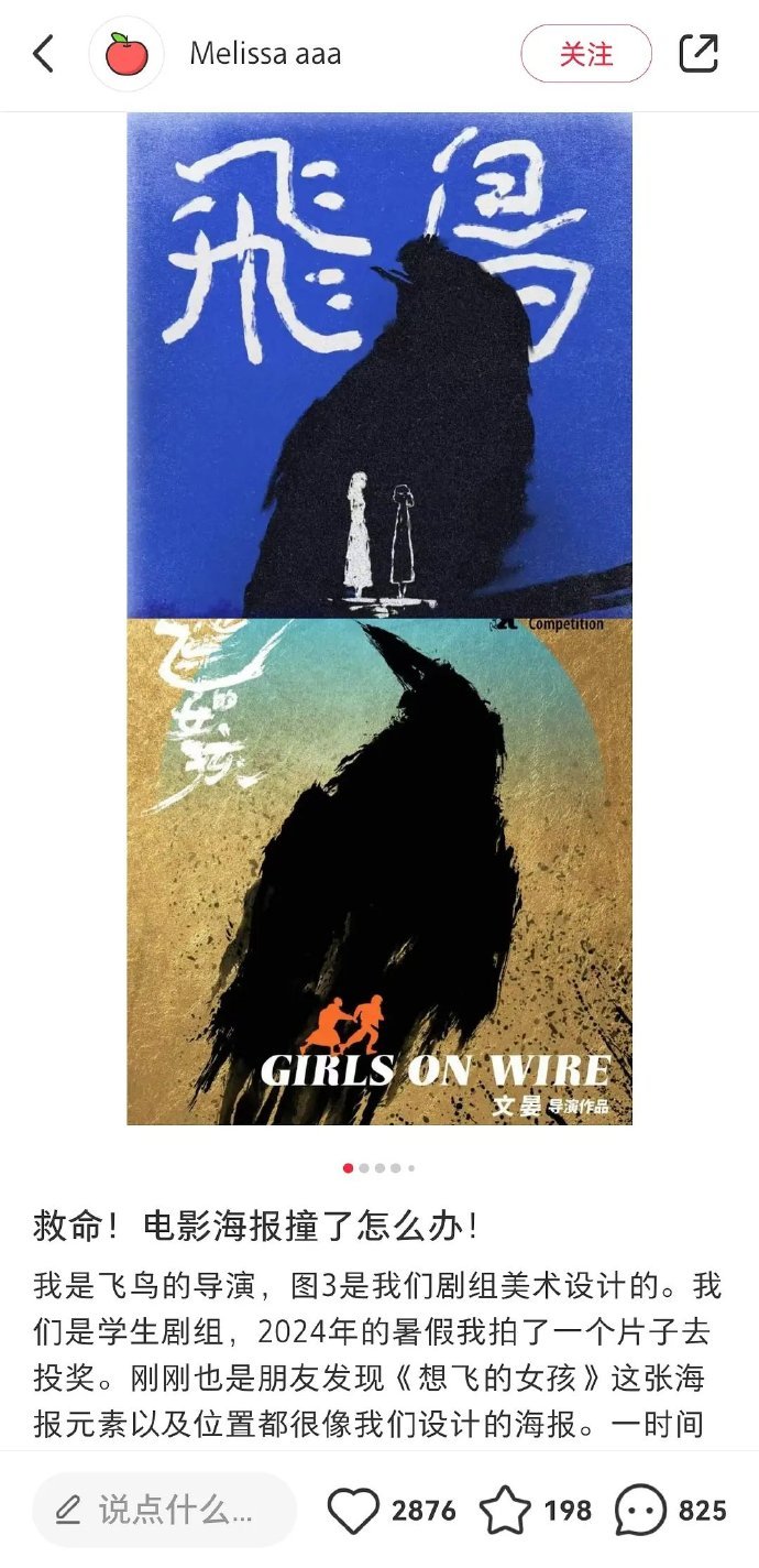 🍉电影想飞的女孩海报疑似涉嫌抄袭 