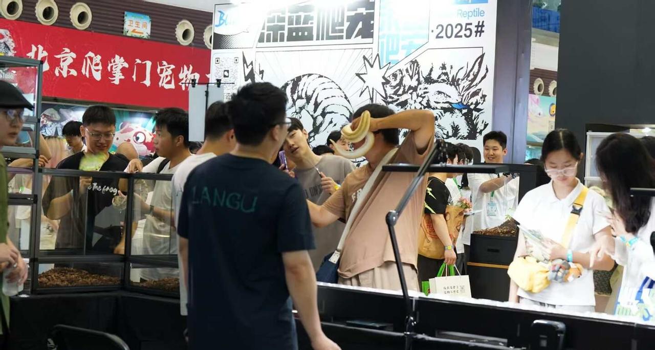 真的太震撼了！！1500+种爬宠齐聚昌平
九华山庄+草莓博览园双馆联动，龟鳖蛇蜥