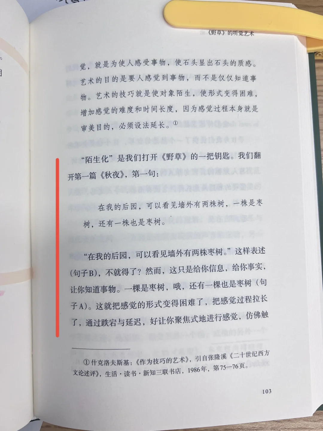 鲁迅的两颗枣树还有什么解读？