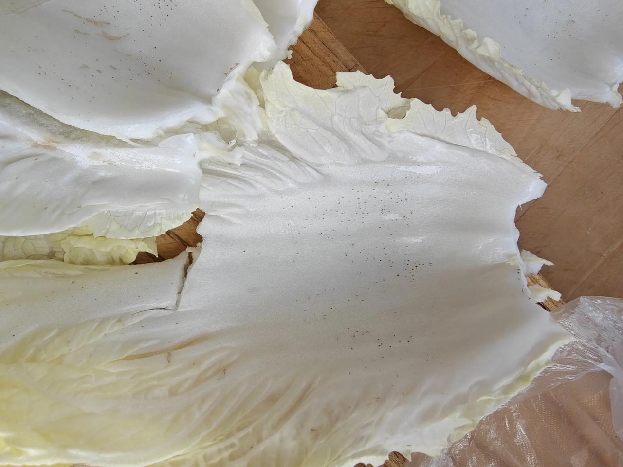 白菜上面这种黑色的斑点是什么东西？能不能吃？