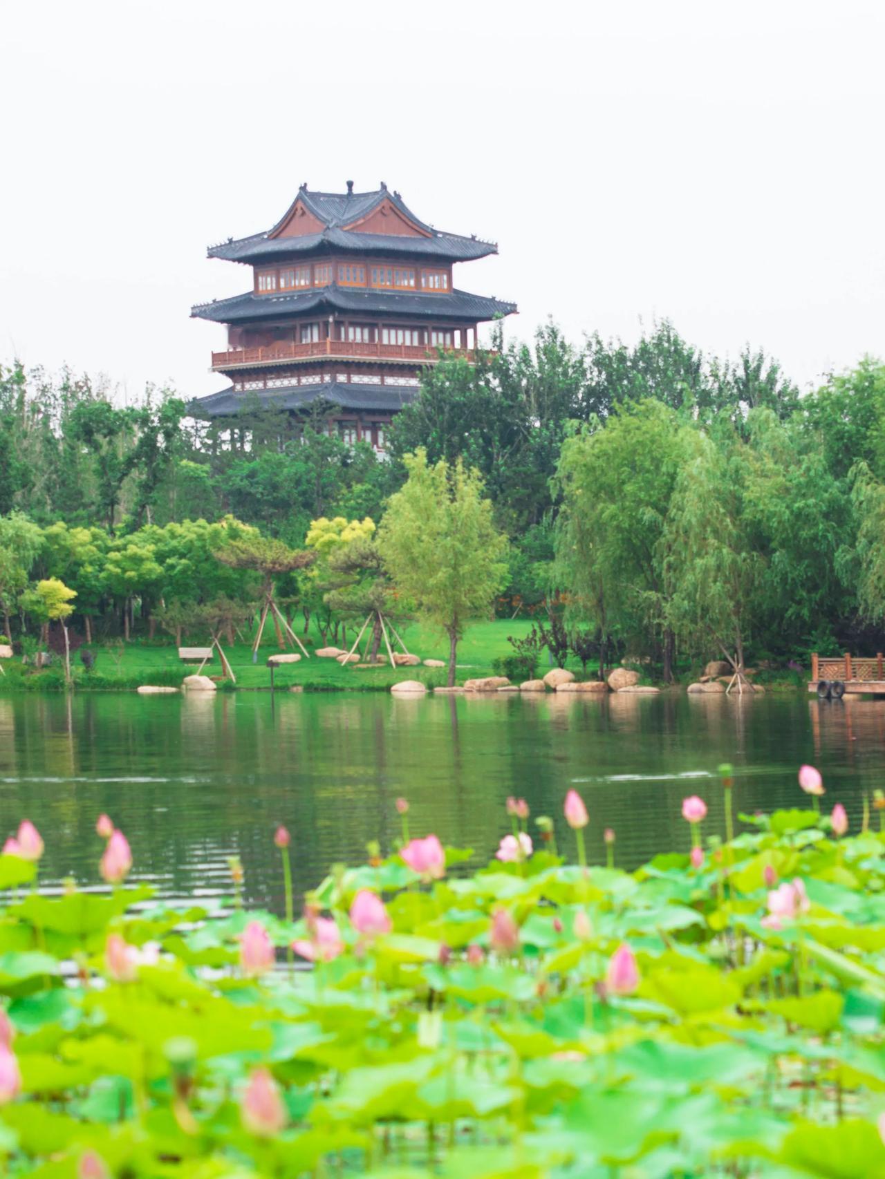 🚩打卡：秦皇岛北戴河生态园
🌟推荐：这是一处非常吸引我前往的地方。虽然这个生