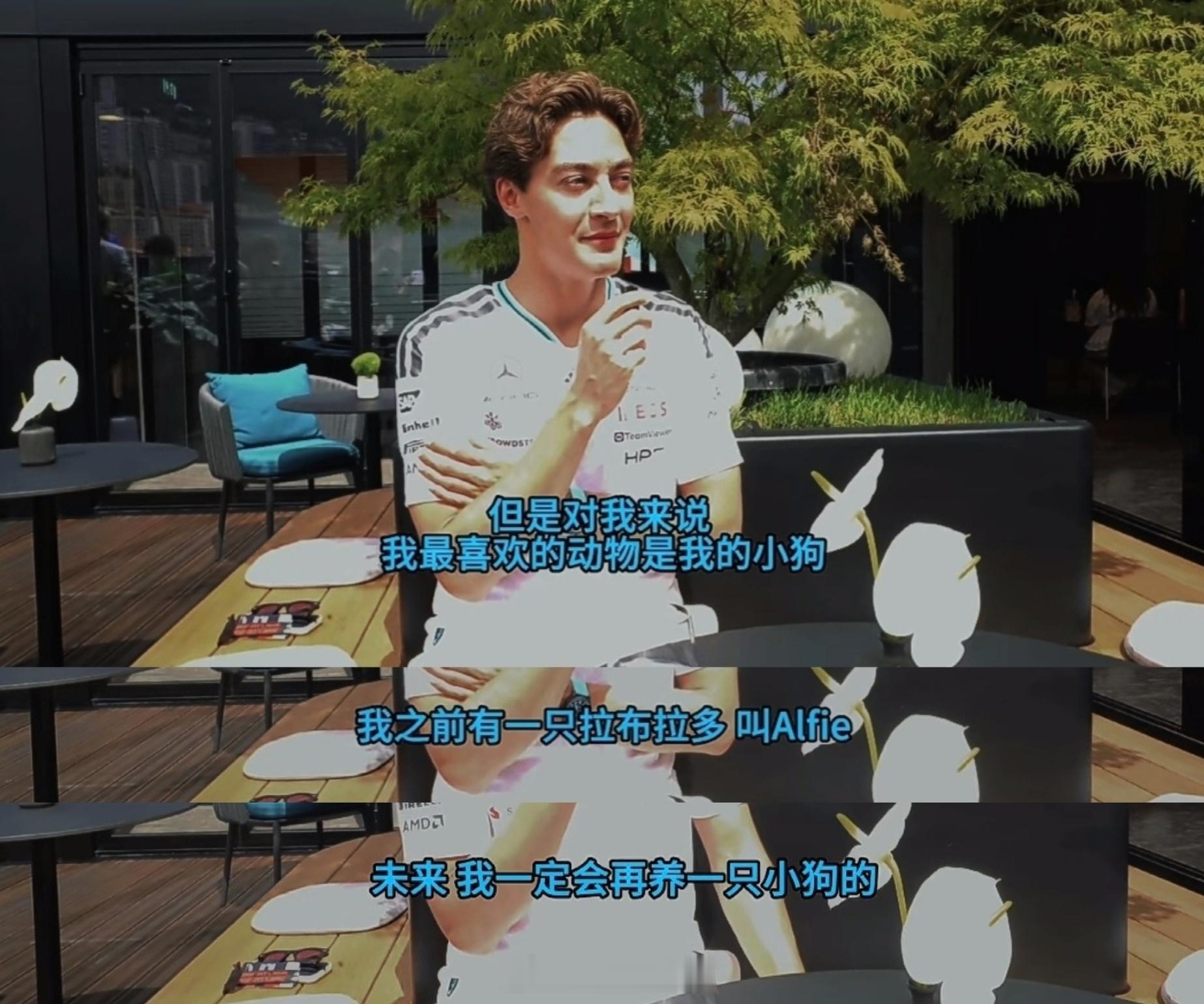 我现在改名叫这个alfie了 