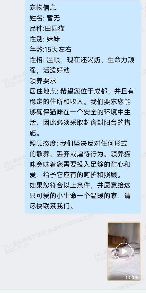 成都救助小猫找领养人！！