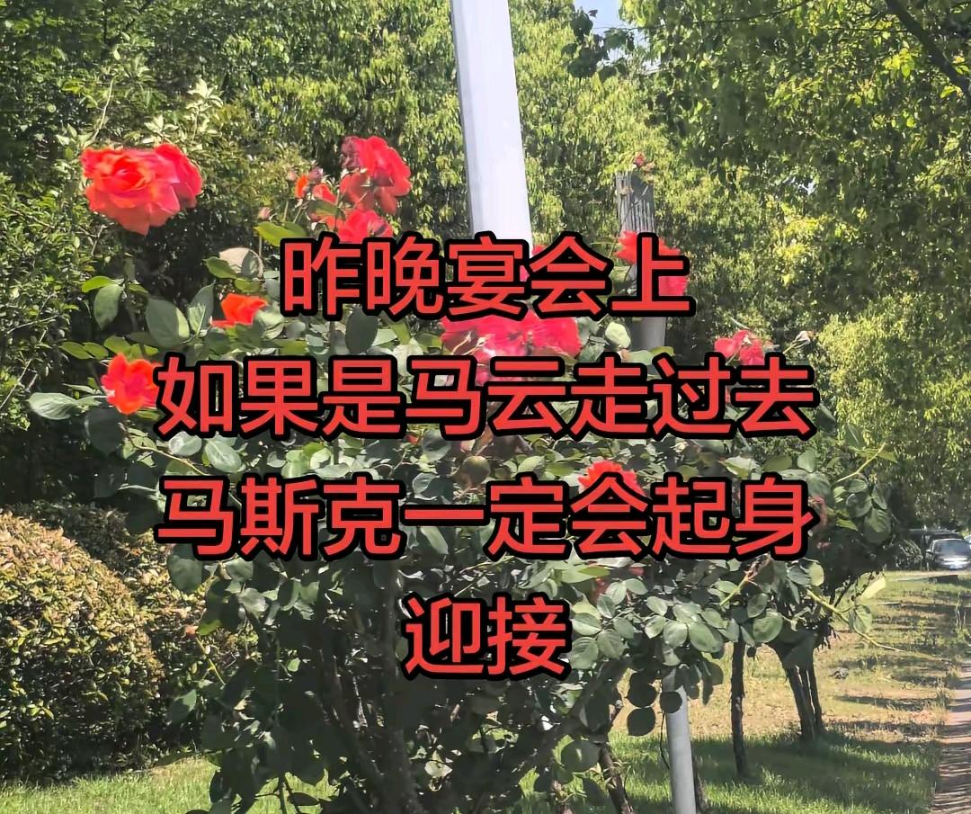 雷军是马斯克的超级粉丝，但是马斯克却是马云的超级粉丝，如果马云过来，马斯克一定起